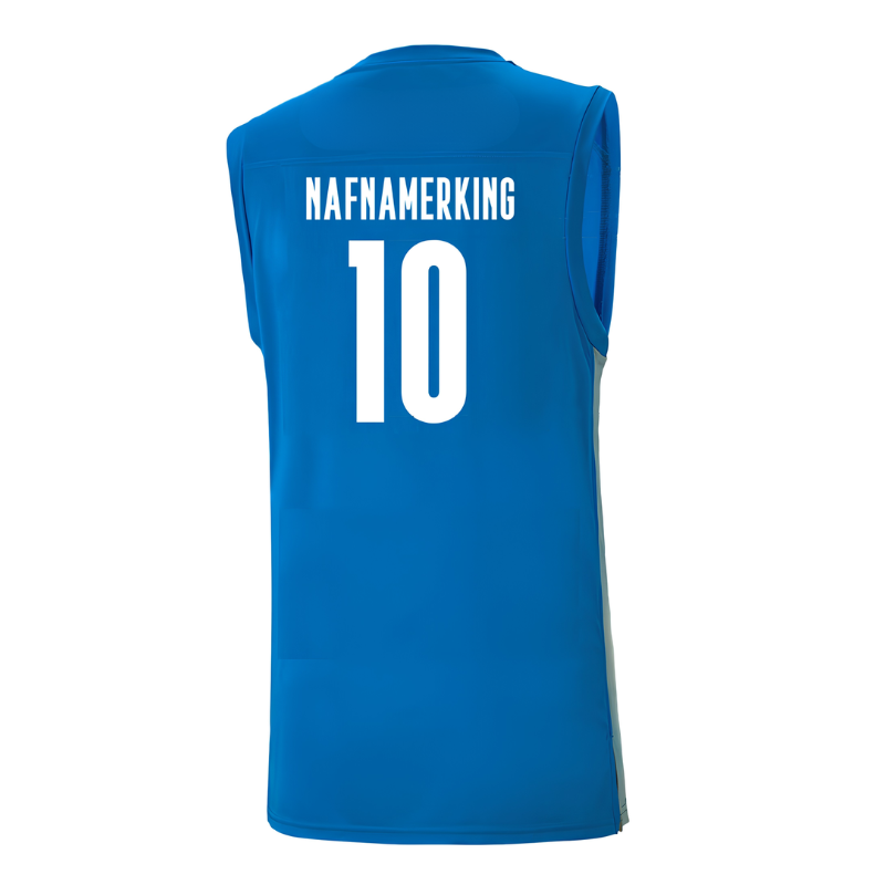 Körfuboltatreyjan Stjarnan