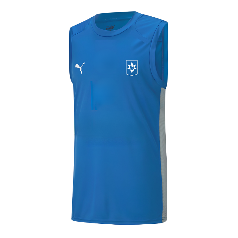 Körfuboltatreyjan Stjarnan
